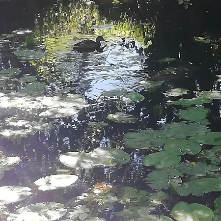 La Maison D'elise Oda ve Kahvaltı 3*