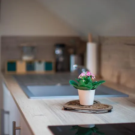 La Maison D'elise