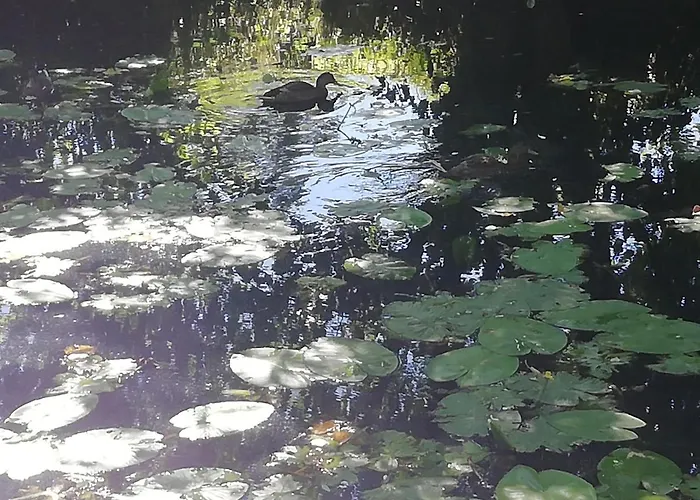 La Maison D'elise Alojamento de Acomodação e Pequeno-almoço 3*