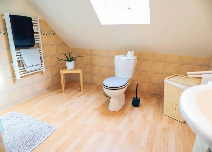 La Maison D'elise 3* Dollon